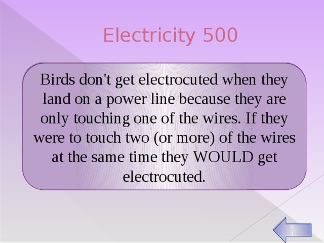 Electricity 500 Birds don't get electrocuted when they land on a power line because they are only touching one of the wires. If they were to touch two (or more) of the wires at the same time they WOULD get electrocuted. Why don’t birds get shocked when they sit on power lines?