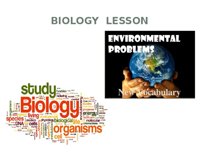 Biology lesson