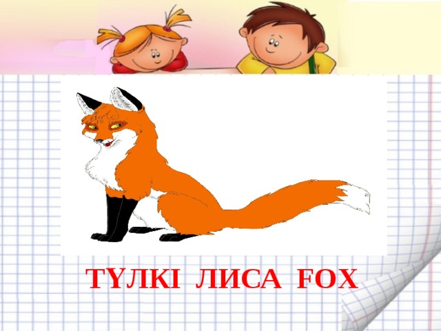ТҮЛКІ ЛИСА FOX