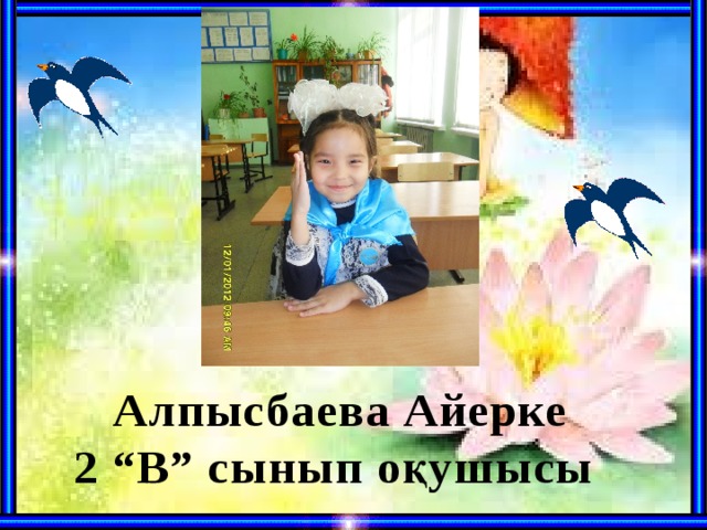 Алпысбаева Айерке 2 “В” сынып оқушысы
