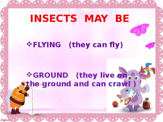 INSECTS MAY BE    FLYING (they can fly)