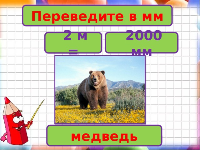 Переведите в мм  2000 мм  2 м = медведь
