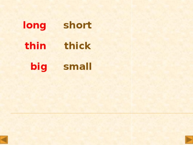 long short thin thick big small