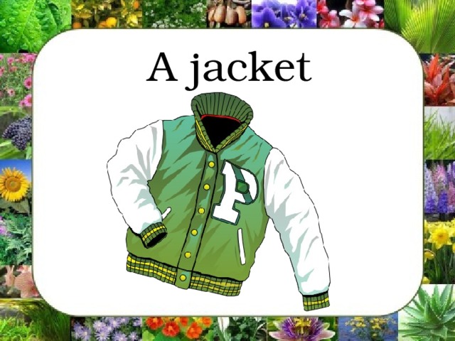 A jacket