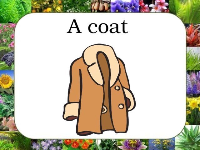 A coat