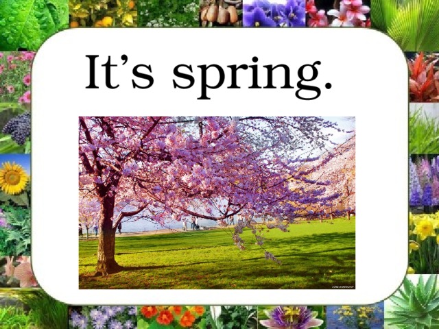 It’s spring.