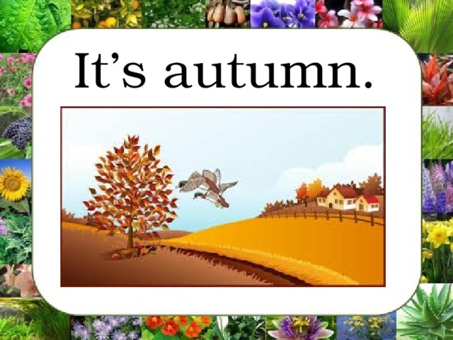 It’s autumn.