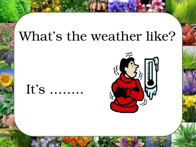 What’s the weather like?  It’s ……..