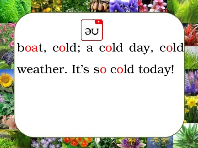 b oa t, c o ld; a c o ld day, c o ld weather. It’s s o c o ld today!