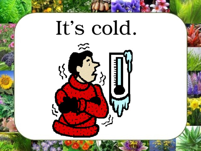 It’s cold.