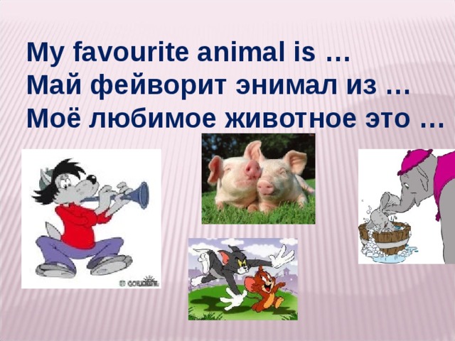My favourite animal is … Май фейворит энимал из … Моё любимое животное это …