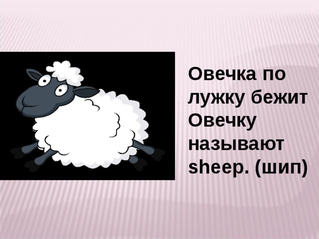 Овечка по лужку бежит Овечку называют sheep. (шип)