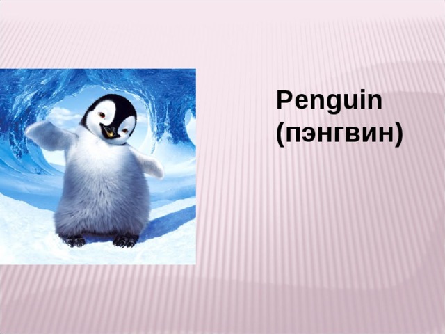 Penguin (пэнгвин)