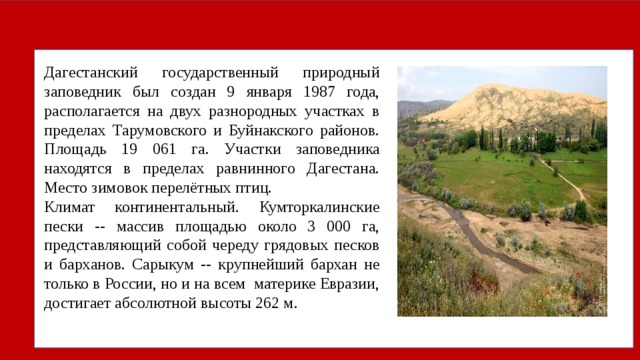 Дагестанский государственный природный заповедник был создан 9 января 1987 года, располагается на двух разнородных участках в пределах Тарумовского и Буйнакского районов. Площадь 19 061 га. Участки заповедника находятся в пределах равнинного Дагестана. Место зимовок перелётных птиц. Климат континентальный. Кумторкалинские пески -- массив площадью около 3 000 га, представляющий собой череду грядовых песков и барханов. Сарыкум -- крупнейший бархан не только в России, но и на всем материке Евразии, достигает абсолютной высоты 262 м.