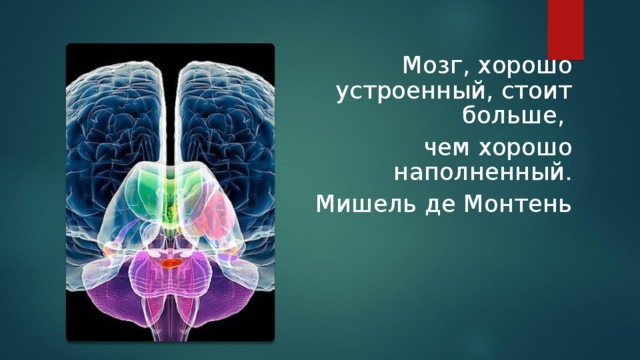Мозг, хорошо устроенный, стоит больше, чем хорошо наполненный. Мишель де Монтень