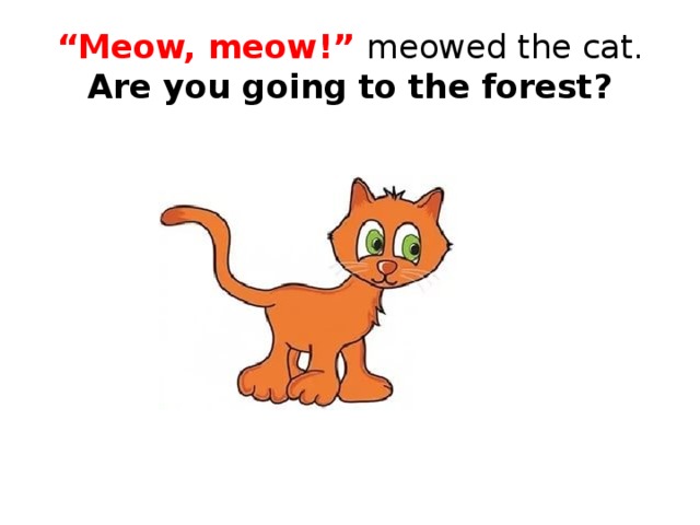 “ Meow, meow!” meowed the cat.  Are you going to the forest?