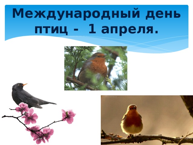 Международный день птиц - 1 апреля.