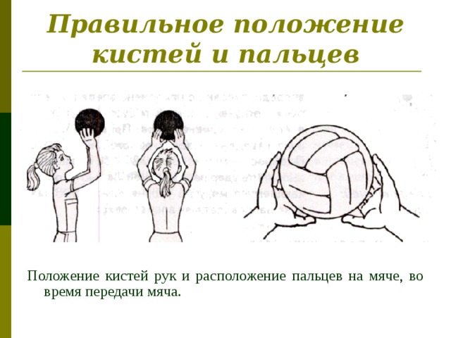 Правильное положение кистей и пальцев Положение кистей рук и расположение пальцев на мяче, во время передачи мяча.