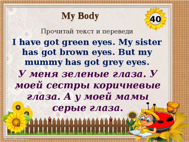 My Body 40 Прочитай текст и переведи I have got green eyes. My sister has got brown eyes. But my mummy has got grey eyes. У меня зеленые глаза. У моей сестры коричневые глаза. А у моей мамы серые глаза.