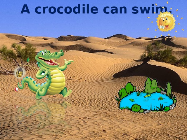 A crocodile can swim.