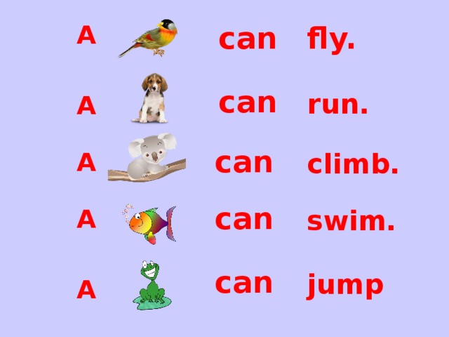 fly. can A can run. A can A climb. can swim. A can jump A