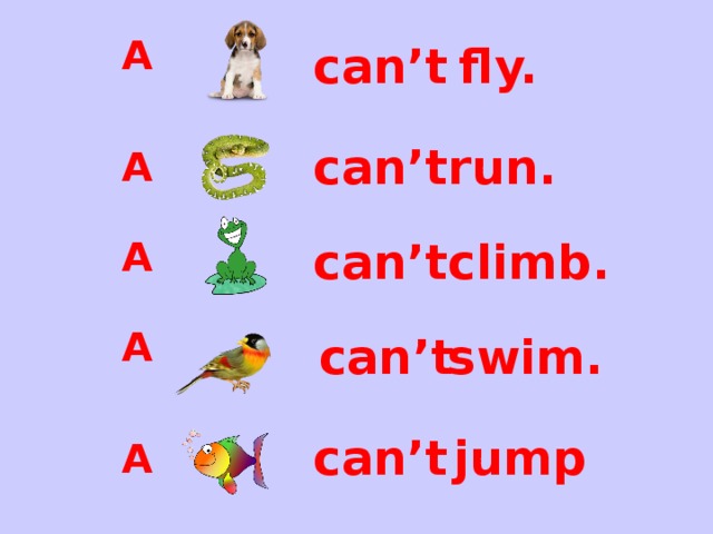 A can’t  fly. run. can’t A A climb. can’t A swim. can’t jump can’t A