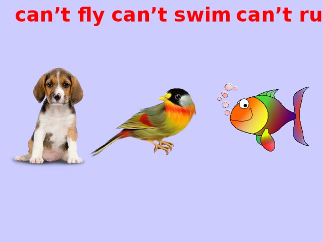 can’t run can’t swim can’t fly
