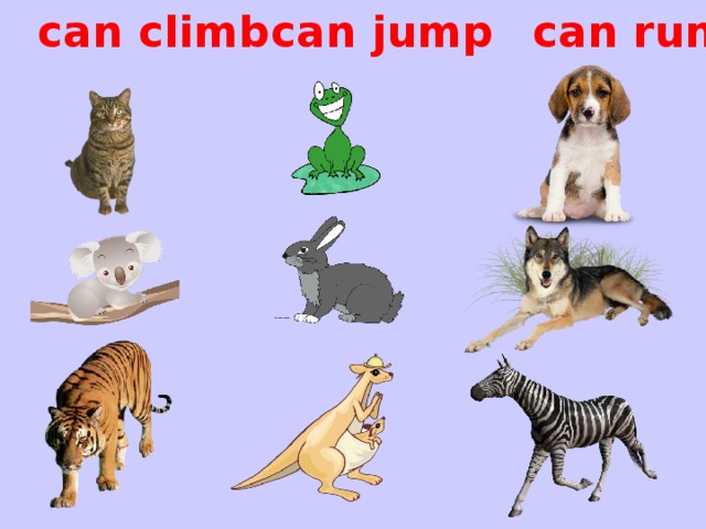 can run can jump can climb