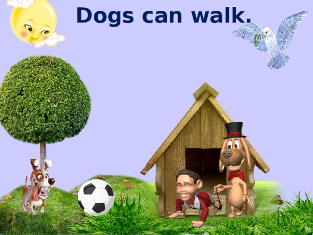 Dogs can walk.