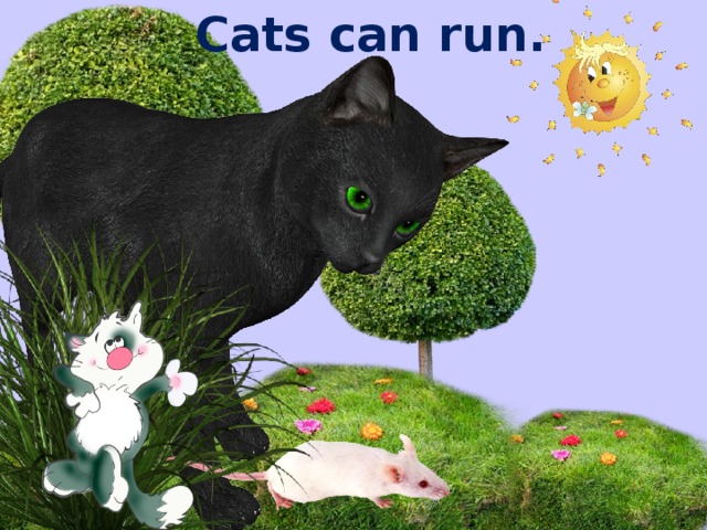 Cats can run.