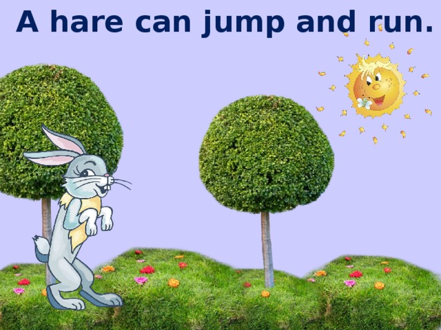 A hare can jump and run.