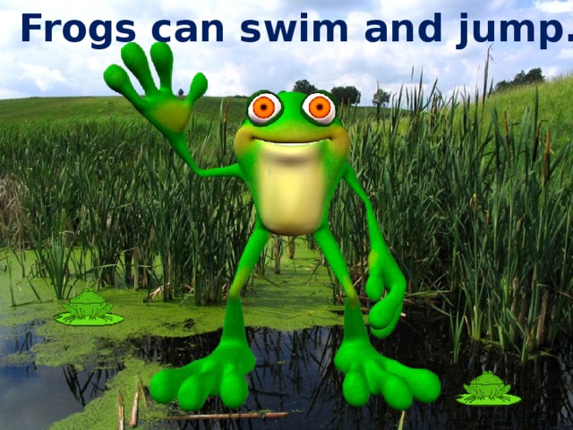 Frogs can swim and jump.