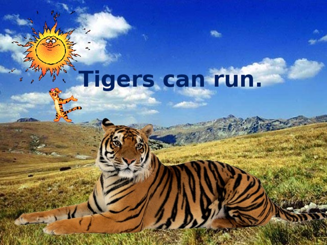 Tigers can run.