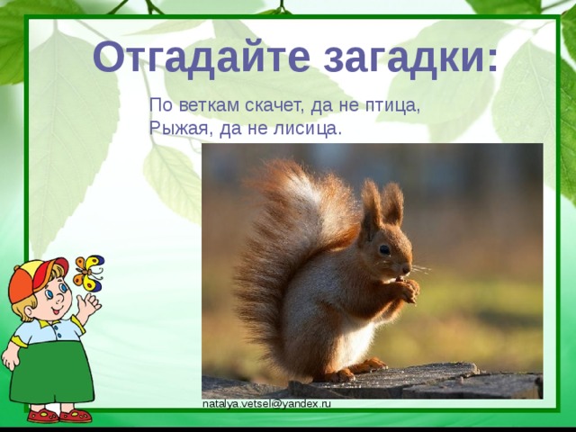 Отгадайте загадки: По веткам скачет, да не птица, Рыжая, да не лисица. natalya.vetsel@yandex.ru
