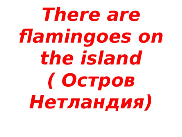 There are flamingoes on the island  ( Остров Нетландия)