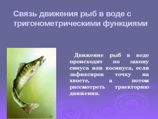Связь движения рыб в воде с тригонометрическими функциями Движение рыб в воде происходит по закону синуса или косинуса, если зафиксиров точку на хвосте, а потом рассмотреть траекторию движения.