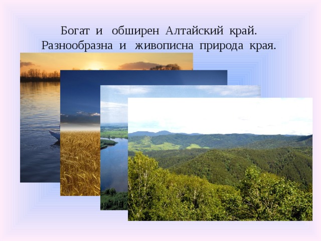 Богат и обширен Алтайский край. Разнообразна и живописна природа края.