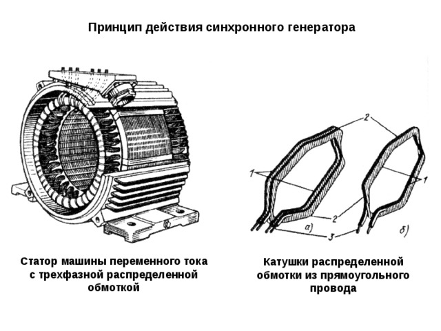 Принцип действия синхронного генератора Статор машины переменного тока с трехфазной распределенной обмоткой Катушки распределенной обмотки из прямоугольного провода