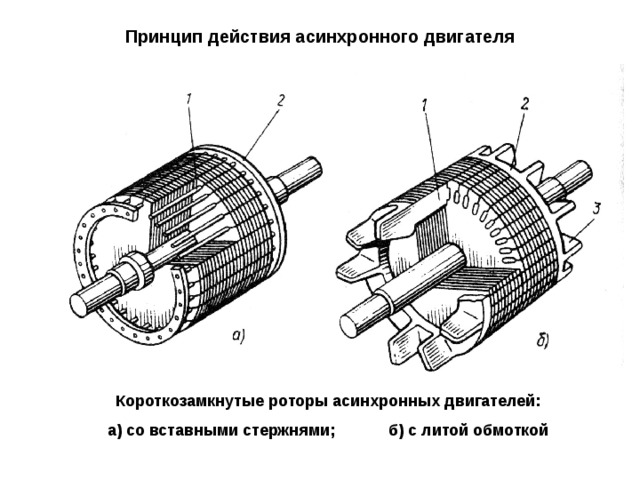 Принцип действия асинхронного двигателя Короткозамкнутые роторы асинхронных двигателей: а) со вставными стержнями; б) с литой обмоткой