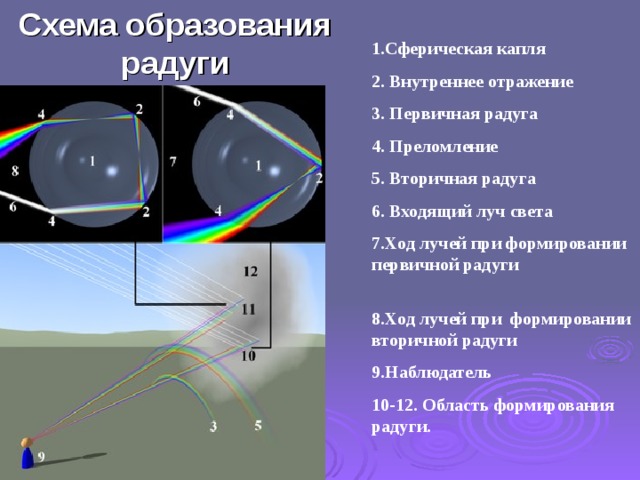 Схема образования радуги Сферическая капля  Внутреннее  отражение  Первичная радуга  Преломление  Вторичная радуга  Входящий луч света Ход лучей при формировании первичной радуги  Ход лучей при формировании вторичной радуги Наблюдатель 10-12. Область формирования радуги.