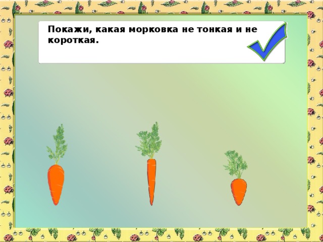 Покажи, какая морковка не тонкая и не короткая.