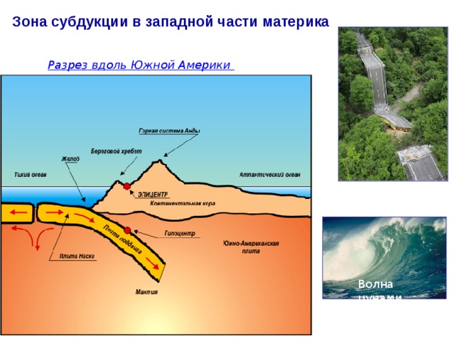 Зона субдукции в западной части материка Волна цунами