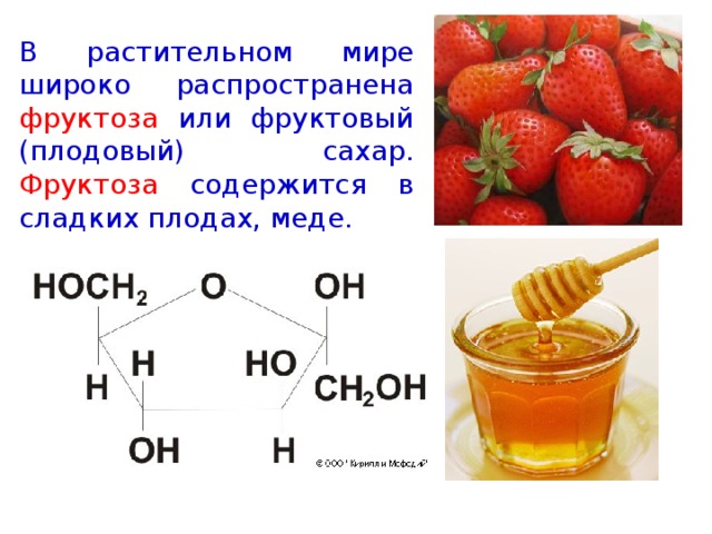 В растительном мире широко распространена фруктоза или фруктовый (плодовый) сахар. Фруктоза содержится в сладких плодах, меде.