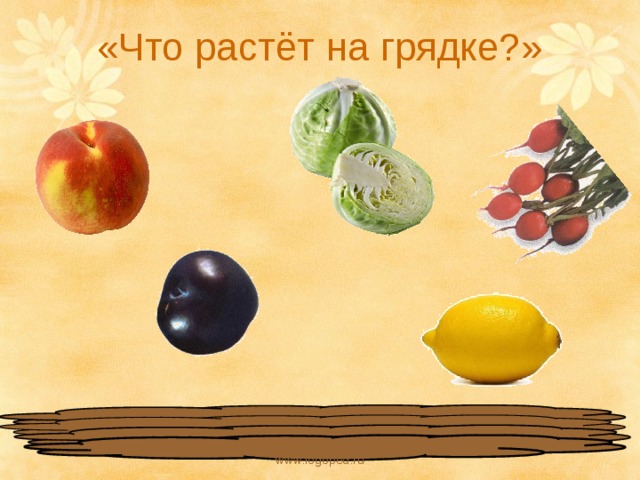 «Что растёт на грядке?» www.logoped.ru