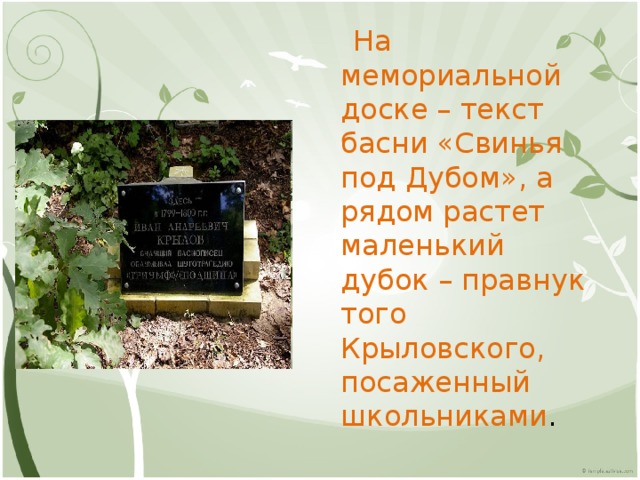 На мемориальной доске – текст басни «Свинья под Дубом», а рядом растет маленький дубок – правнук того Крыловского, посаженный школьниками .