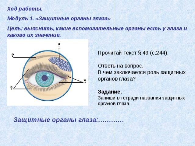 Ход работы. Модуль 1. «Защитные органы глаза» Цель: выяснить, какие вспомогательные органы есть у глаза и каково их значение.    Прочитай текст § 49 (с.244). Ответь на вопрос. В чем заключается роль защитных органов глаза?  Задание. Запиши в тетради названия защитных органов глаза.   Защитные органы глаза:…………