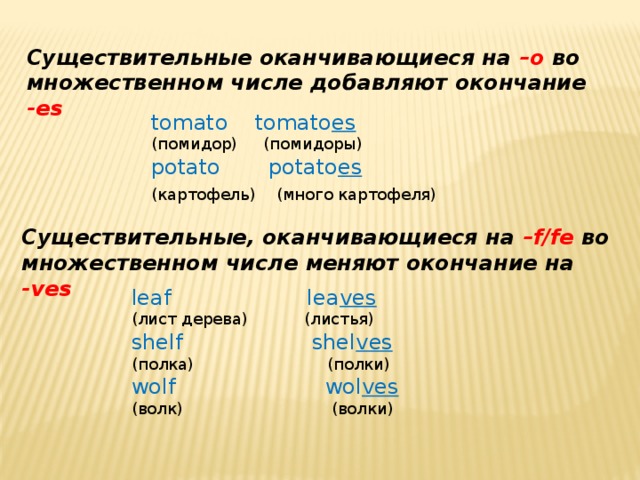 Существительные оканчивающиеся на –o во множественном числе добавляют окончание -es tomato tomato es (помидор) (помидоры) potato potato es (картофель) (много картофеля)  Существительные, оканчивающиеся на –f/fe во множественном числе меняют окончание на -ves leaf lea ves (лист дерева) (листья) shelf shel ves (полка) (полки) wolf wol ves (волк) (волки)