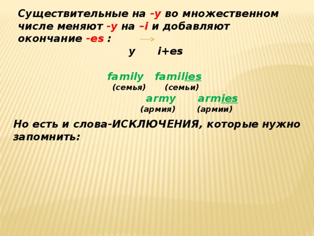 Множественное слово год. Family множественное число в английском языке. Семья во множественном числе на английском. Family во множественном числе на английском. Семья по английскому во множественном числе.
