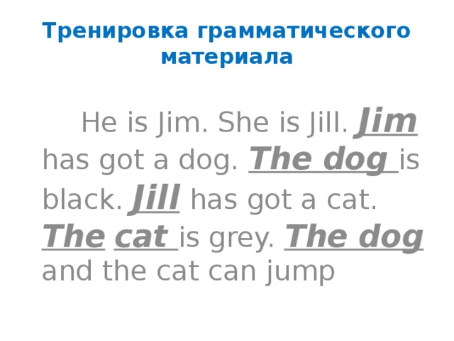Тренировка грамматического материала  He is Jim. She is Jill. Jim has got a dog. The dog is black. Jill  has got a cat. The  cat is grey. The dog and the cat can jump