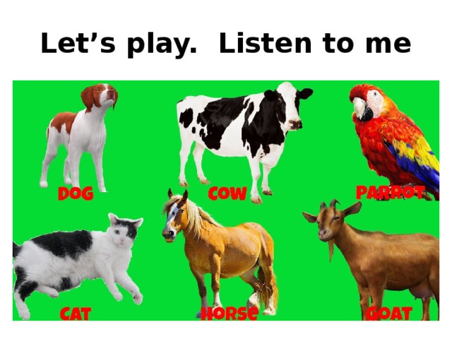 Let’s play. Listen to me